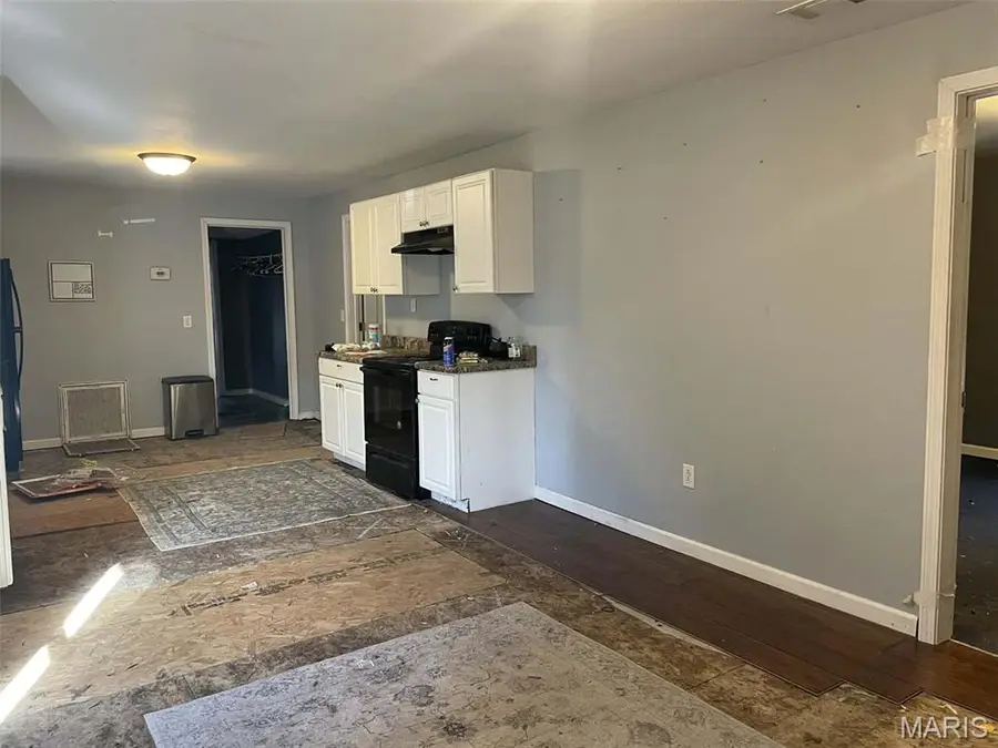 1111 Maple Street, Dexter, MO 63841 - Image #2