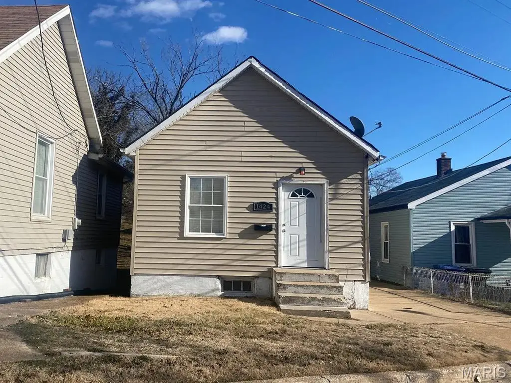 1424 Sulphur Avenue, Saint Louis, MO 63110 - Image #1