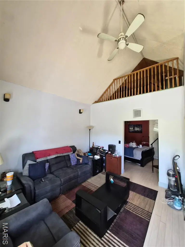 1424 Sulphur Avenue, Saint Louis, MO 63110 - Image #3