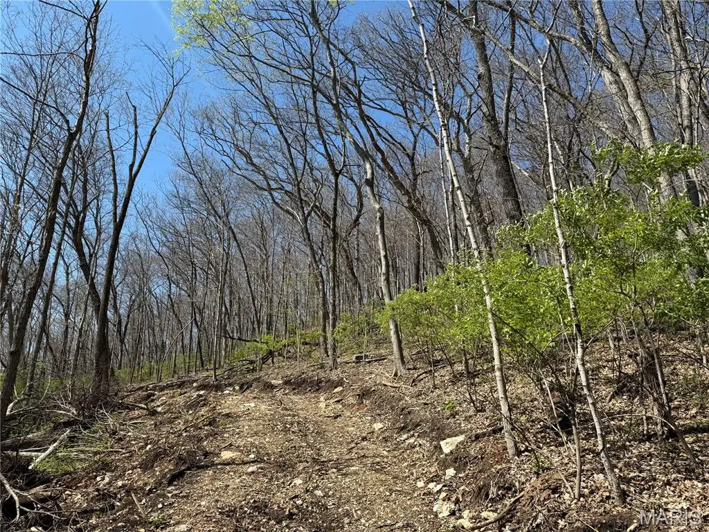 0 Gravois Road, House Springs, MO 63051 - #1