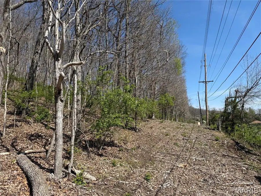 0 Gravois Road, House Springs, MO 63051 - #2