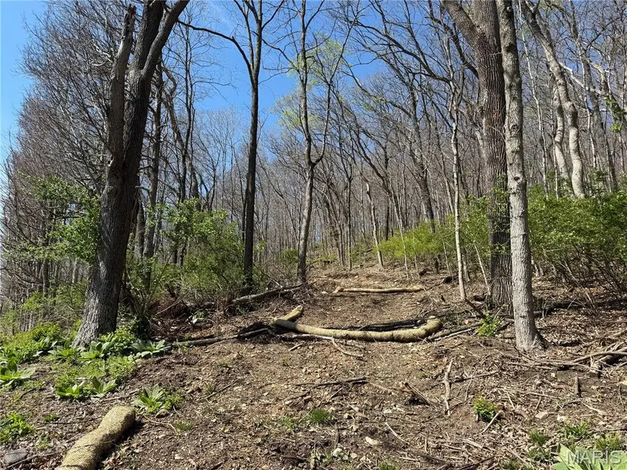 0 Gravois Road, House Springs, MO 63051 - #3