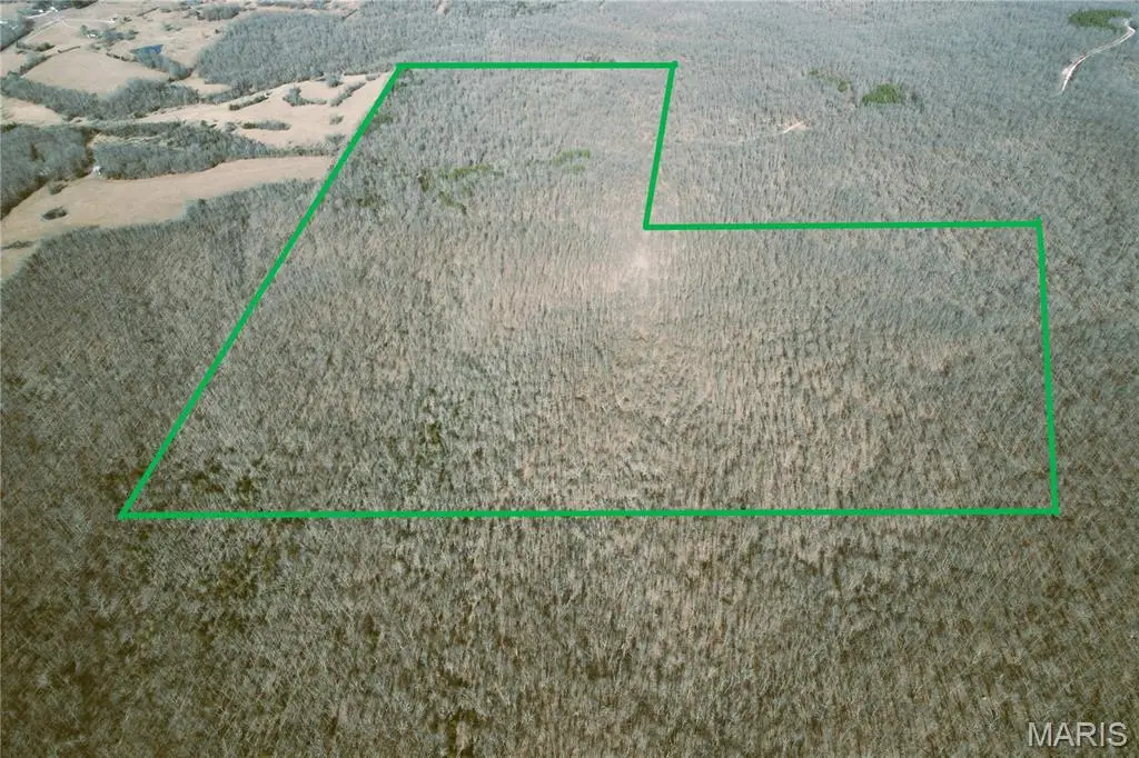 0 Tower Drive, Ozark, MO 65589 - Image #1