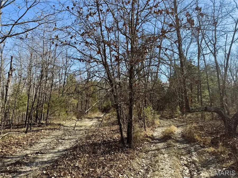 0 Tower Drive, Ozark, MO 65589 - Image #3