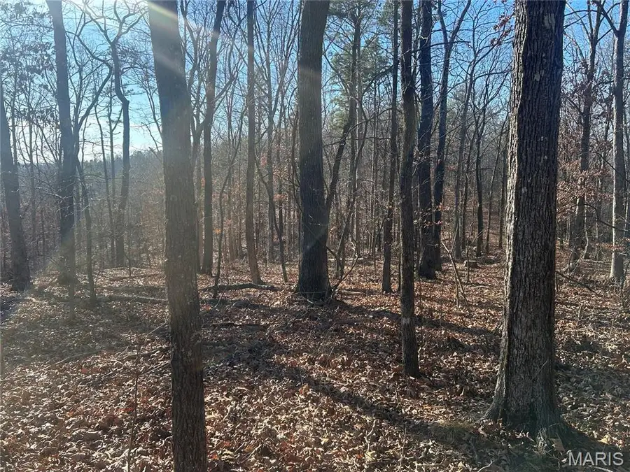 303 Madison Cr 410, Fredericktown, MO 63645 - Image #2