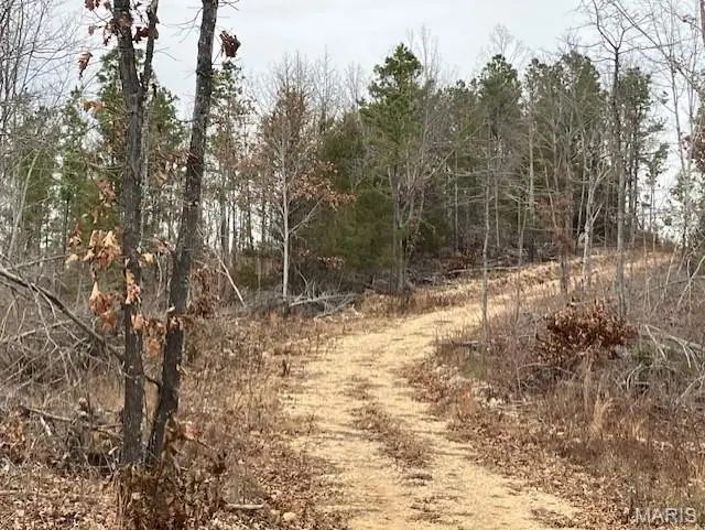 185 Madison Cr 410, Fredericktown, MO 63645 - Image #2