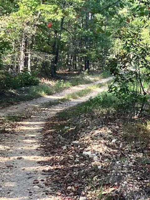 187 Madison Cr 410, Fredericktown, MO 63645 - Image #2