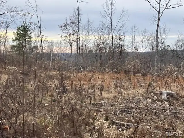 189 Madison Cr 410, Fredericktown, MO 63645 - Image #1