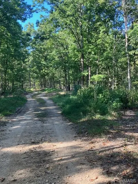 189 Madison Cr 410, Fredericktown, MO 63645 - Image #2