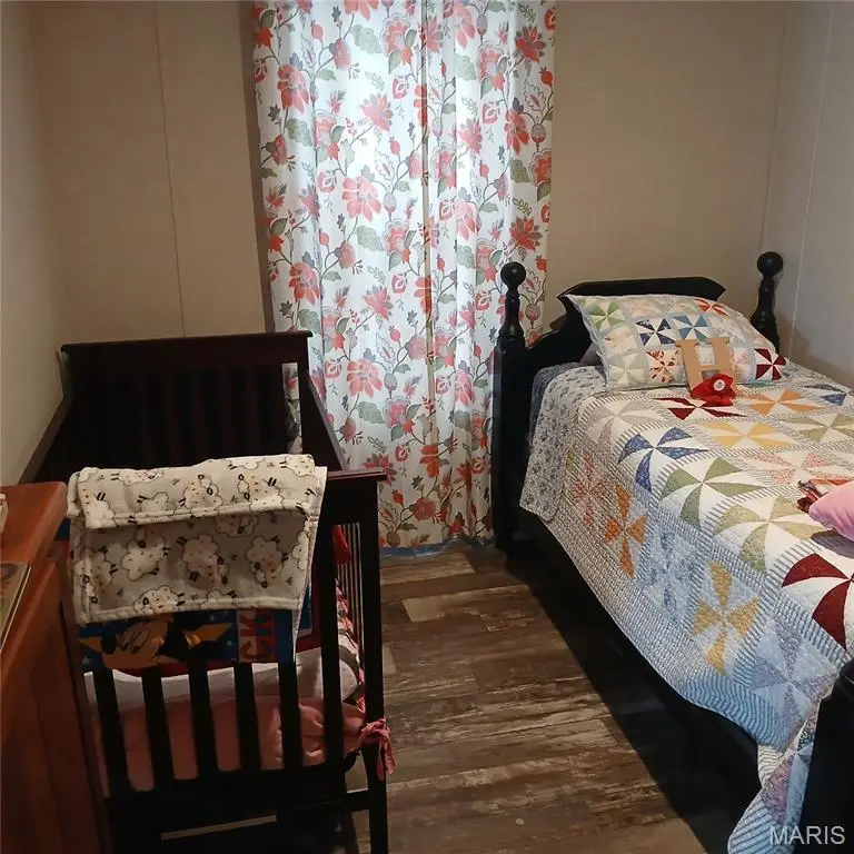 33 County Road 55, Belleview, MO 63623 - Image #3