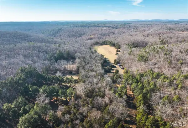 000 Wayne 224a, Hiram, MO 63944