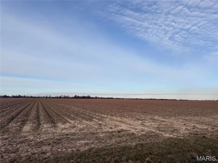 0 County Road 314, Portageville, MO 63873 - Image #3