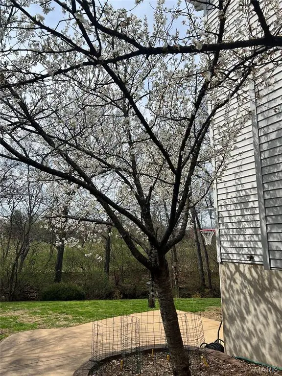 Address Withheld By Seller, Wildwood, MO 63040 - #2