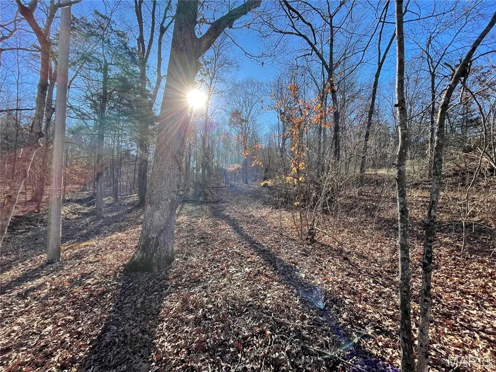 3838 Oak Hill Drive, Catawissa, MO 63015 - Image #1