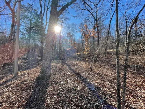 3838 Oak Hill Drive, Catawissa, MO 63015