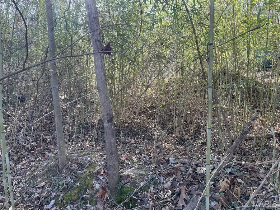 3838 Oak Hill Drive, Catawissa, MO 63015 - Image #3