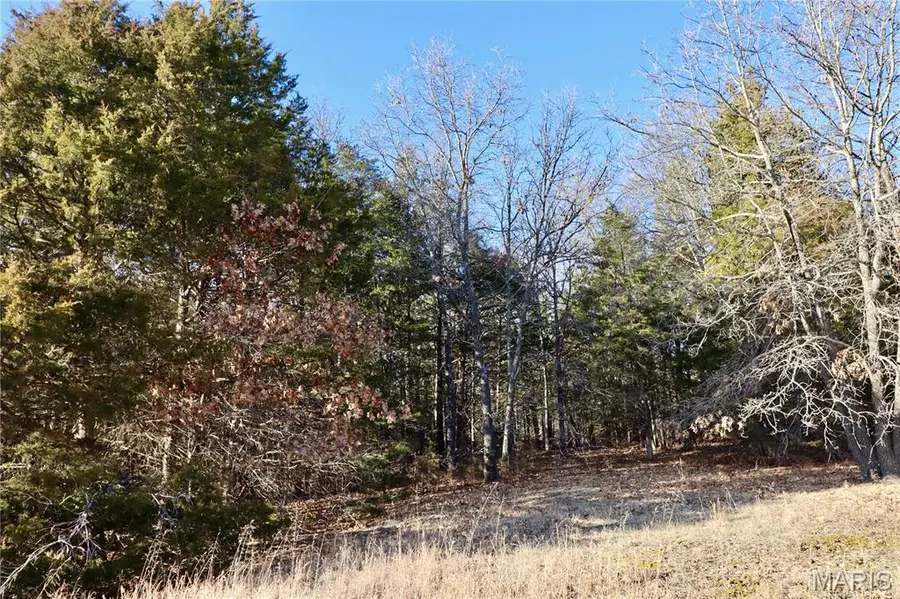 000 Cotrel Lane, Falcon, MO 65470 - Image #2