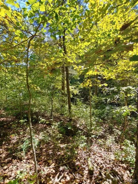 1848 Prince John Court, Marthasville, MO 63357 - Image #3