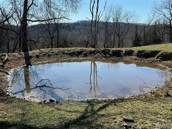 594 County Road 873, Thornfield, MO 65762