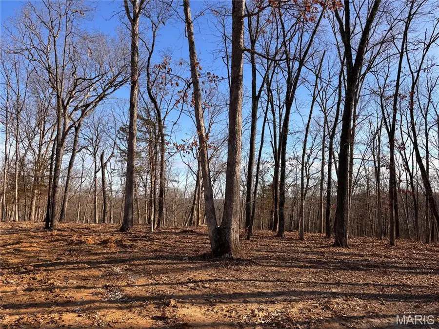 Lot 3 Klausmeier Trails, Wright City, MO 63390 - Image #2