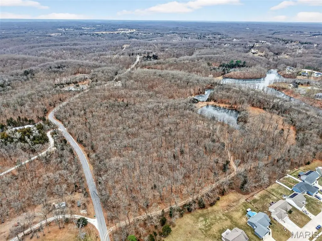 43.35 AC Pinckney Street, Warrenton, MO 63383 - Image #1