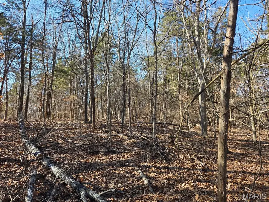 8043 State Road B, Cedar Hill, MO 63016 - Image #2