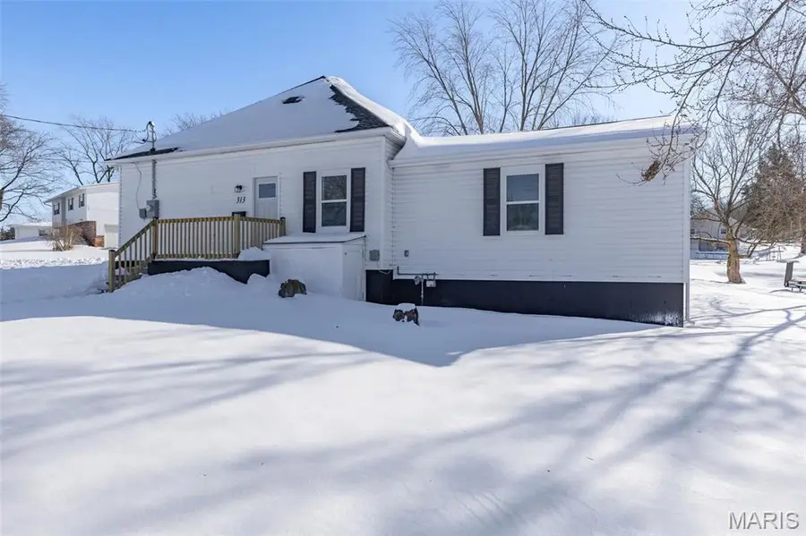 313 Dip Street, Park Hills, MO 63601 - Image #2