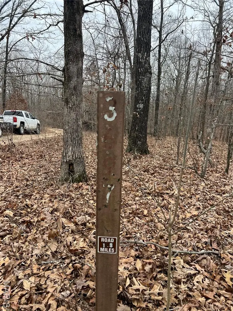 Highway T Forest Road 3697, Poplar Bluff, MO 63901 - Image #2