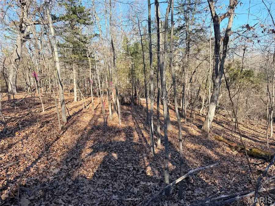 0 Holly Street, Saint Robert, MO 65584 - Image #3