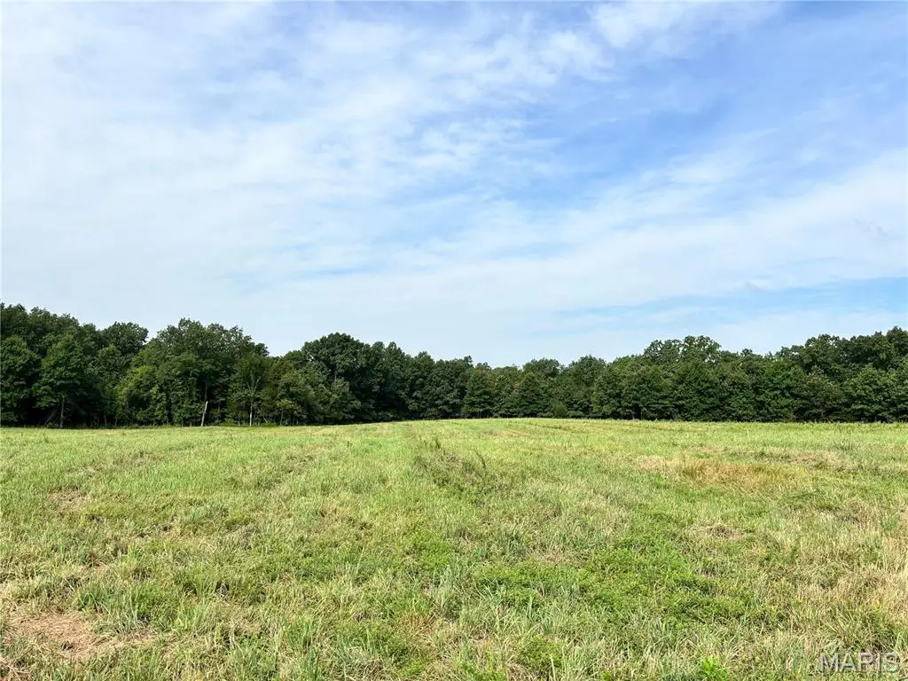 Lot 1 Springview Farms, Marthasville, MO 63357 - #1