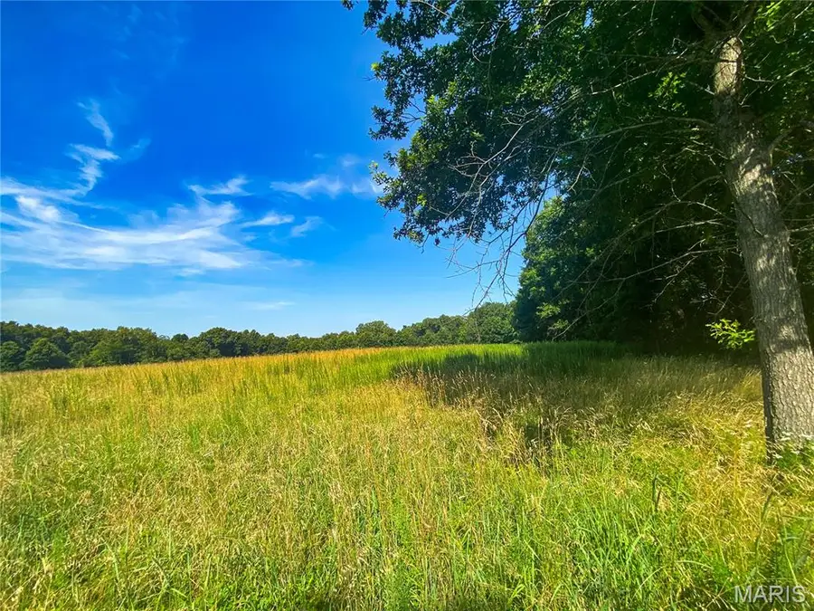 Lot 1 Springview Farms, Marthasville, MO 63357 - #2