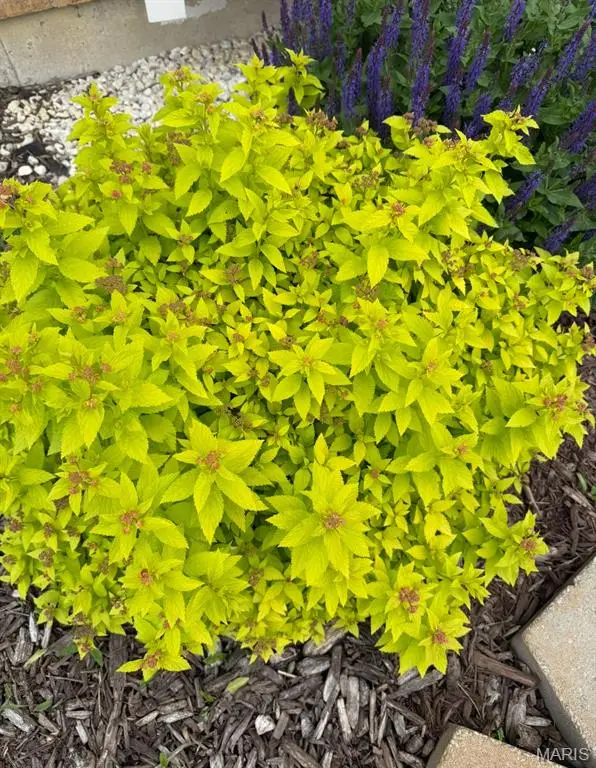 1405 Kearney Drive, Dardenne Prairie, MO 63368 - Image #3