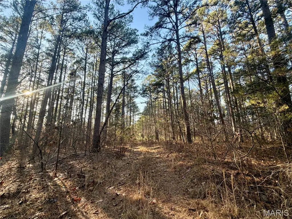 0 County Road 6575, Salem, MO 65560 - Image #1