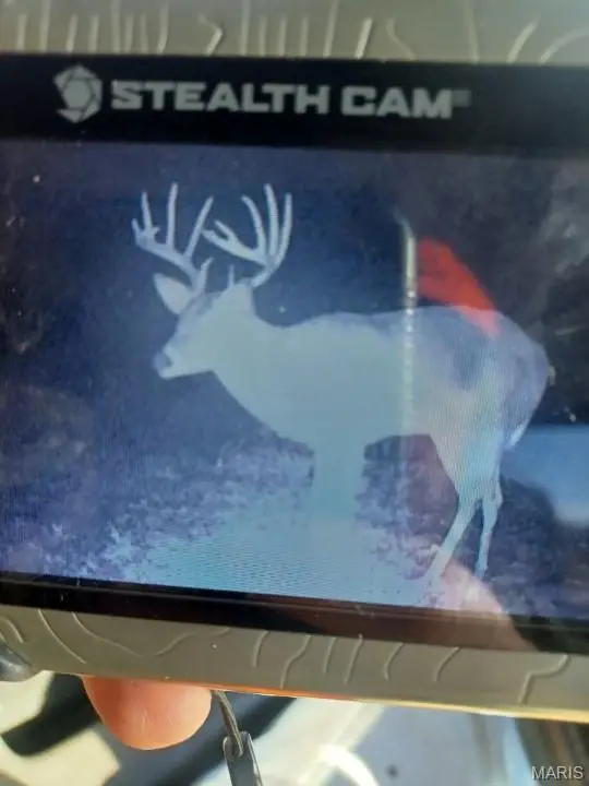 0 County Road 6575, Salem, MO 65560 - Image #2