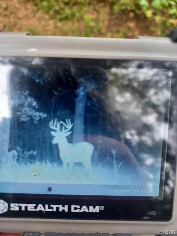 0 County Road 6575, Salem, MO 65560 - Image #3