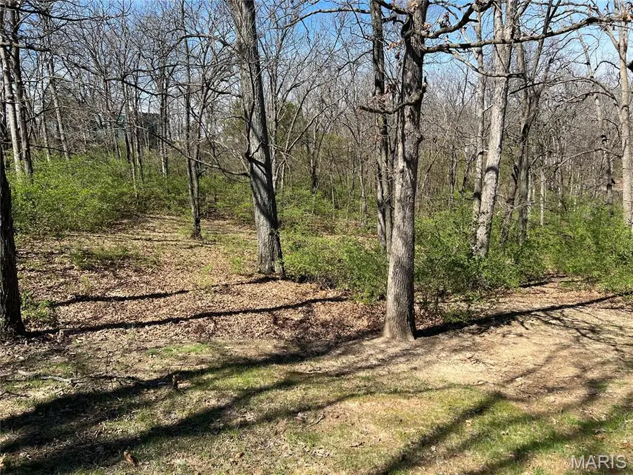 1631 Dunaway Road, Festus, MO 63028 - #2