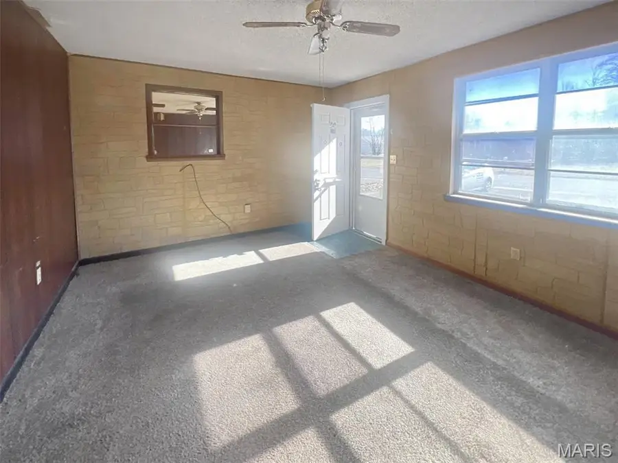 170 Lee Avenue, Sikeston, MO 63801 - Image #3