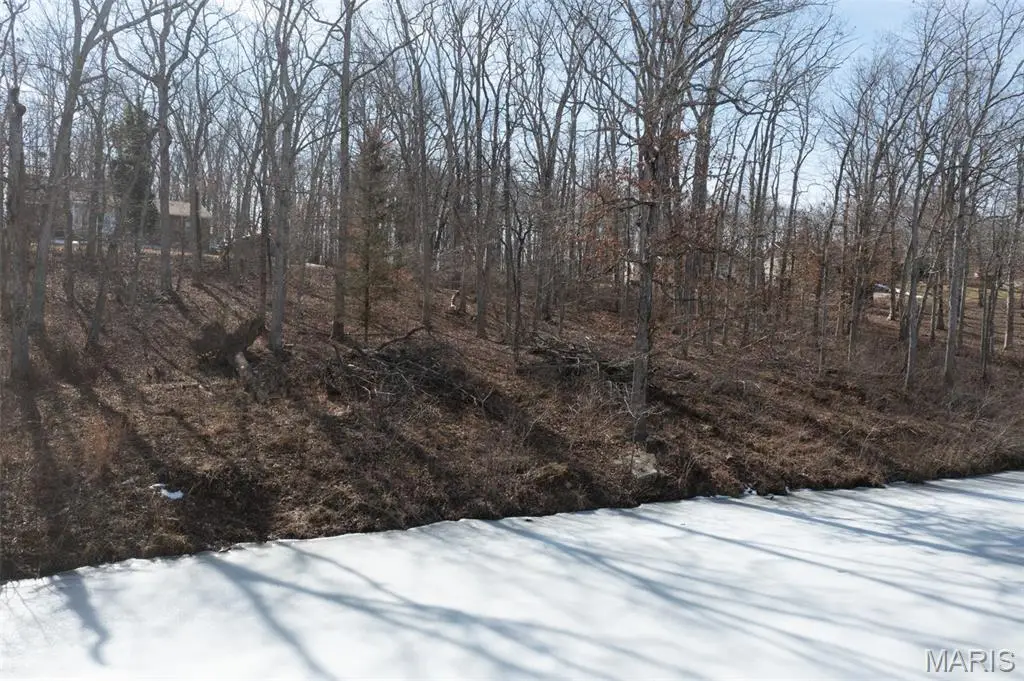 Lot 7 S Deer Trail, Fredericktown, MO 63645 - #1