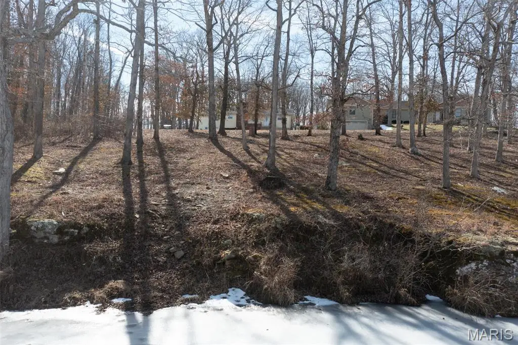 Lot 9 S Deer Trail, Fredericktown, MO 63645 - #1