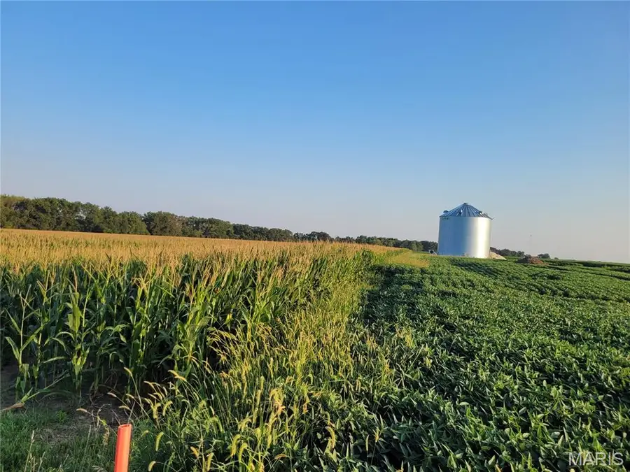 0 Hwy Dd (40+/- Ac) Tract G, Bellflower, MO 63333 - Image #2