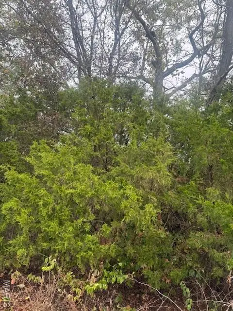 Lot 6 Tulley Road, New Haven, MO 63068