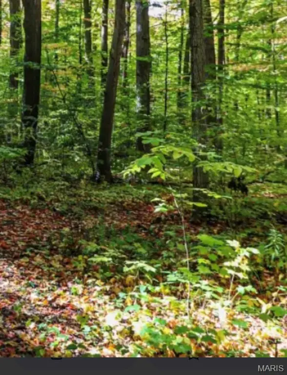 Hwy 19 Hwy 19, Hermann, MO 65041