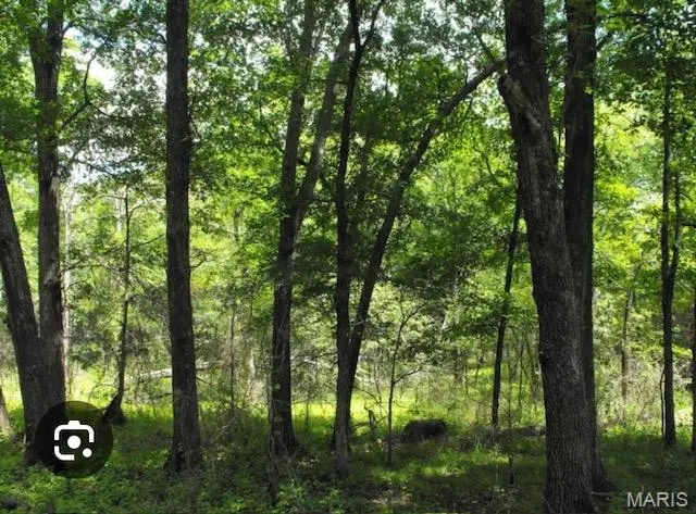 Hwy 19 Hwy 19, Hermann, MO 65041 - Image #2