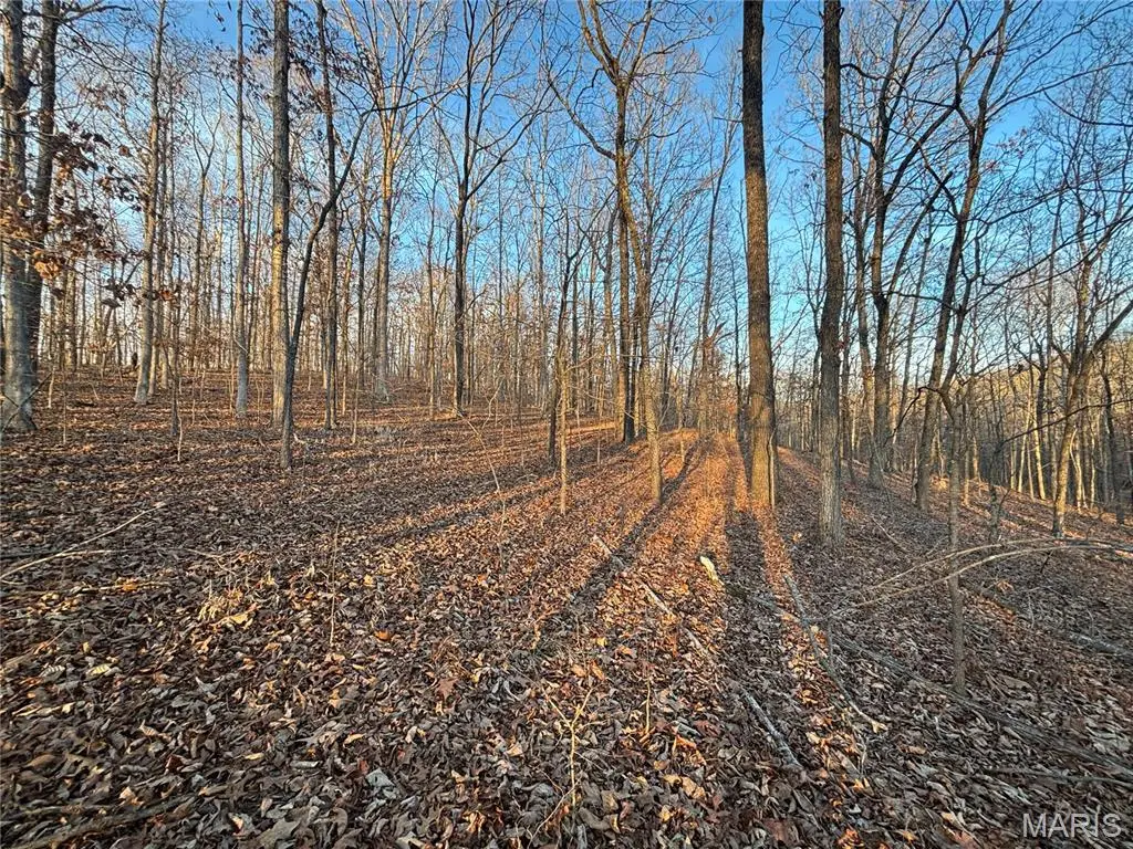 001 State Highway D, Greenville, MO 63944 - Image #1