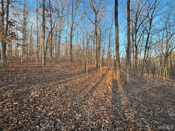 001 State Highway D, Greenville, MO 63944