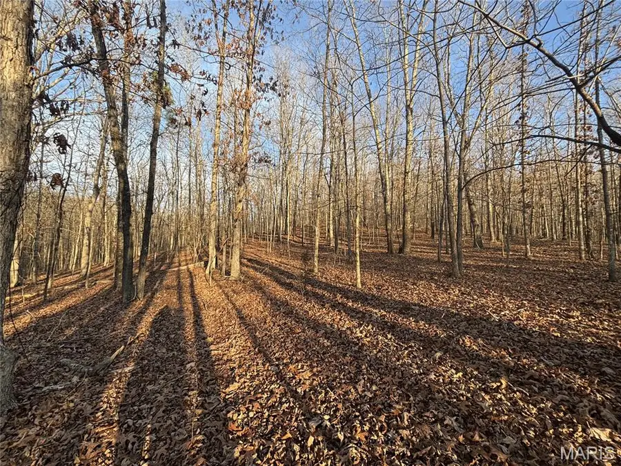 001 State Highway D, Greenville, MO 63944 - Image #3