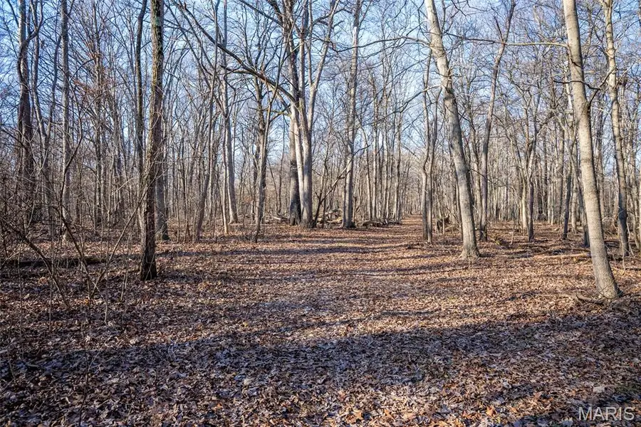 1910 Stage Coach Lane, Sorento, IL 62086 - Image #3