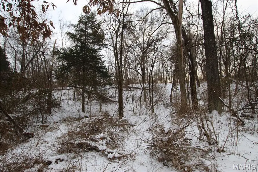 6.09 State Highway A, Truxton, MO 63381 - #3