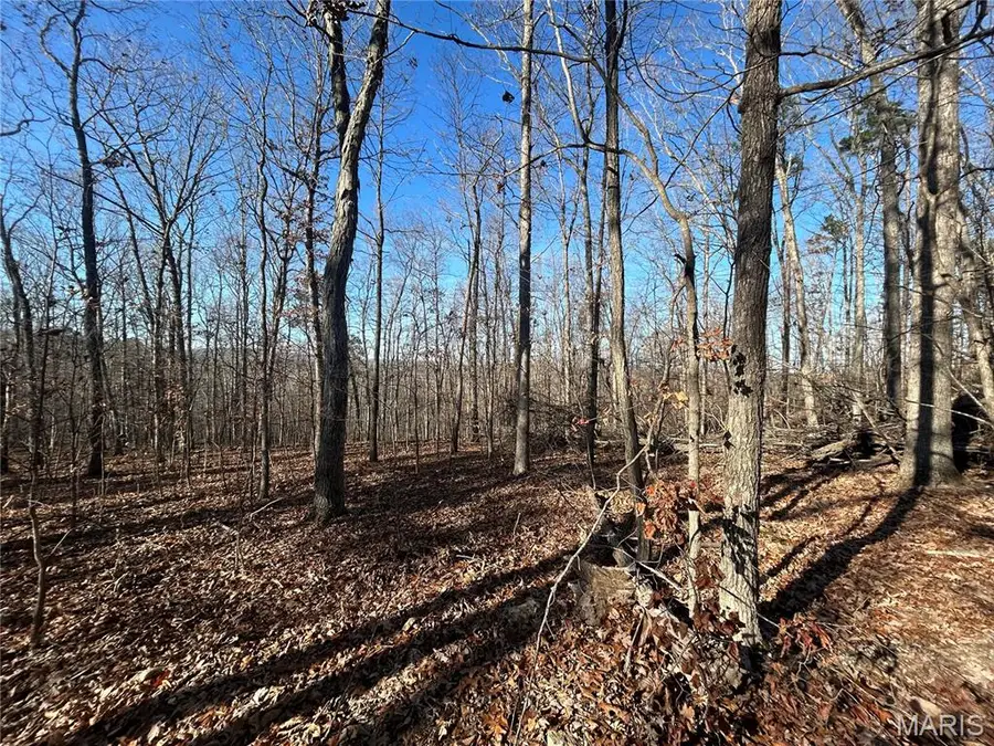 305 Madison Cr 410, Fredericktown, MO 63645 - Image #3