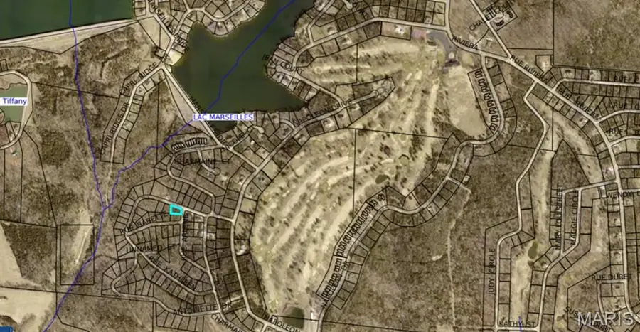 Lot 1 Antoinette Dr., Bonne Terre, MO 63628 - #2